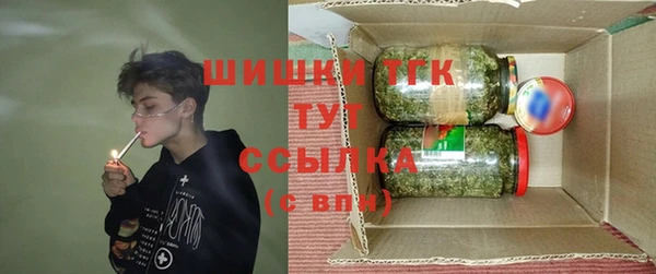 шишки Осинники