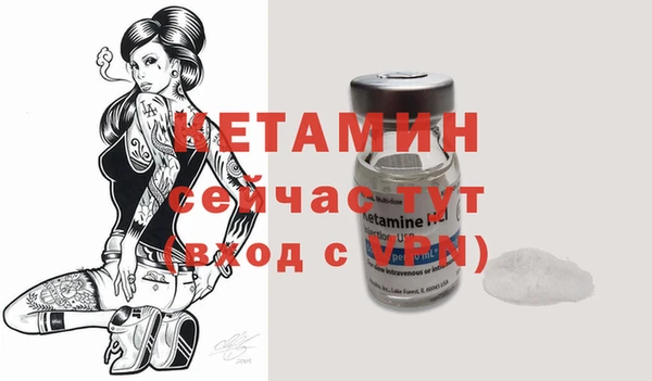 шишки Осинники