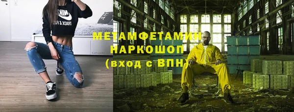 шишки Осинники
